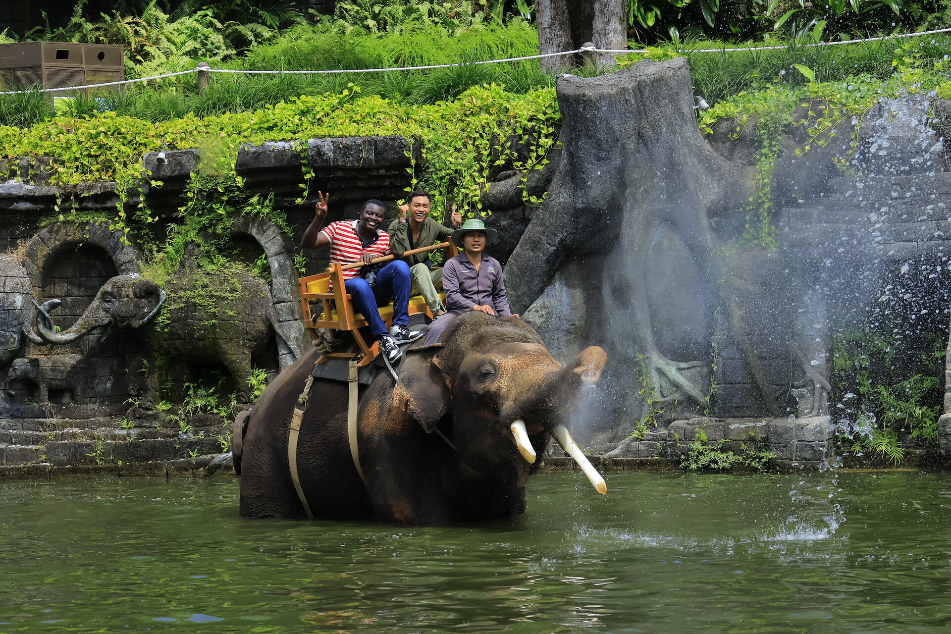 Elephant Riding